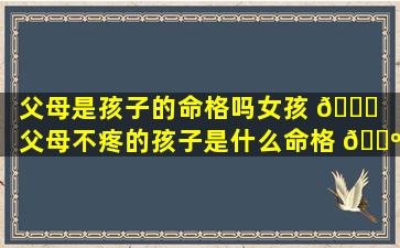 父母是孩子的命格吗女孩 🐝 （父母不疼的孩子是什么命格 🌺 ）